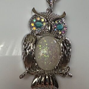 Silver Owl Pendant Necklace and Earring Set